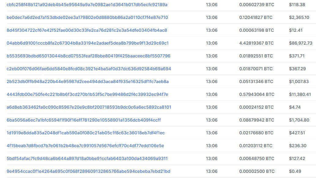 Is Bitcoin Traceable? Screenshot of the Blockchain Explorer 